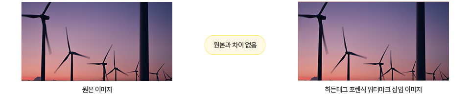 원본 이미지와 히든태그 포렌식 워터마크 삽입 이미지의 화질 차이 없음